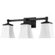 Sonorra 3 Light 24 inch Matte Black Vanity Light Wall Light